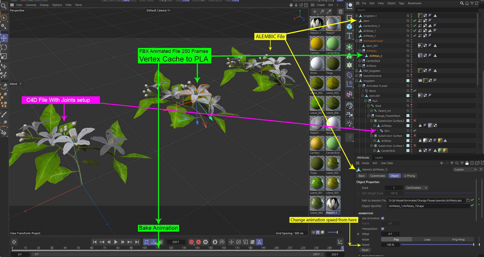 Animated Orange Tree Flower 3D model_3