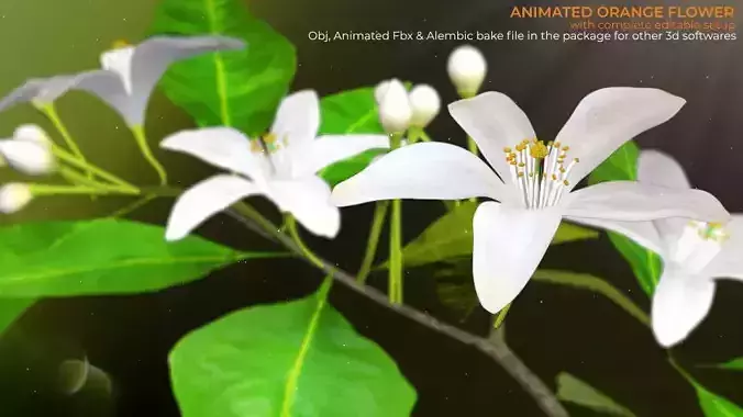 Animated Orange Tree Flower 3D model