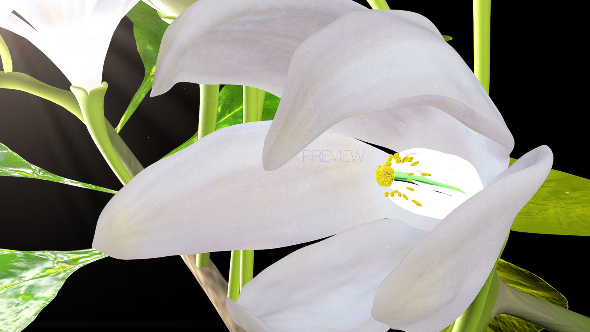 Animated Orange Tree Flower 3D model_15