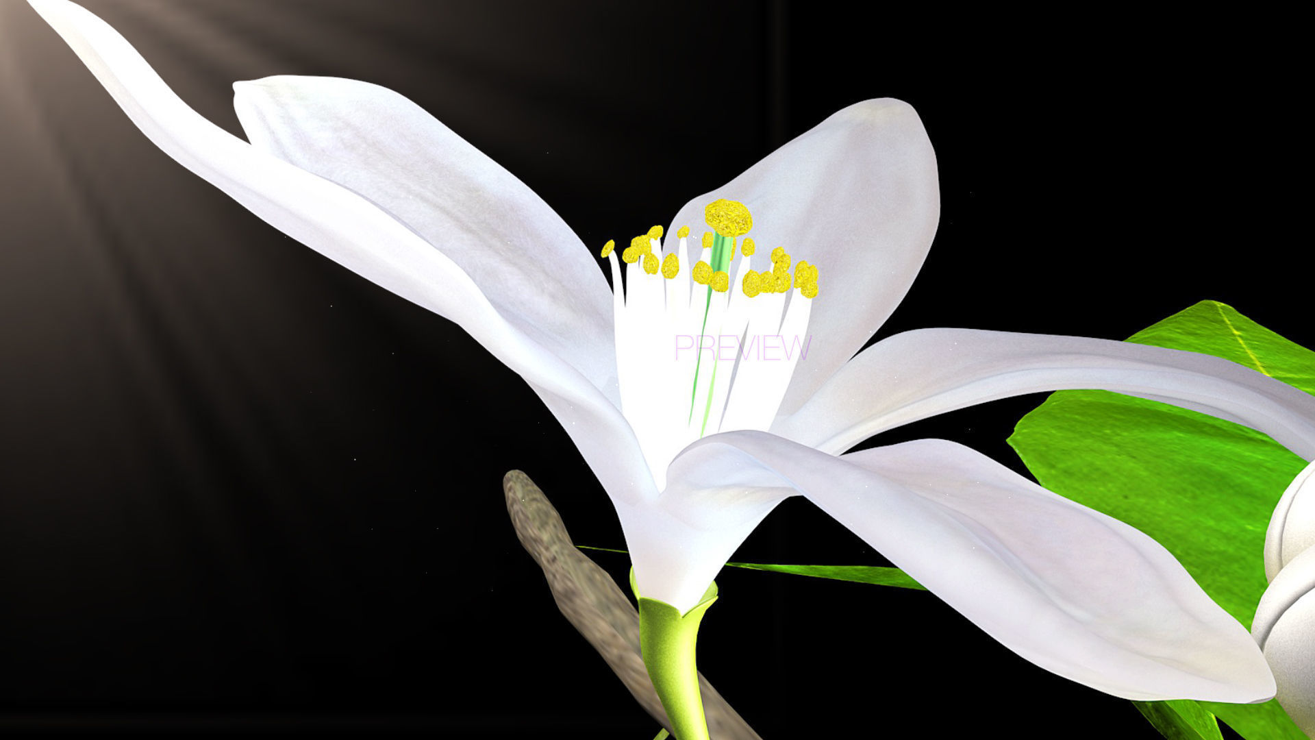 Animated Orange Tree Flower 3D model_14