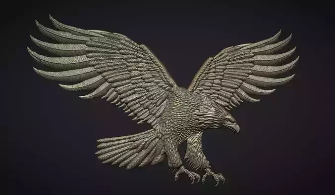 Eagle in flight 