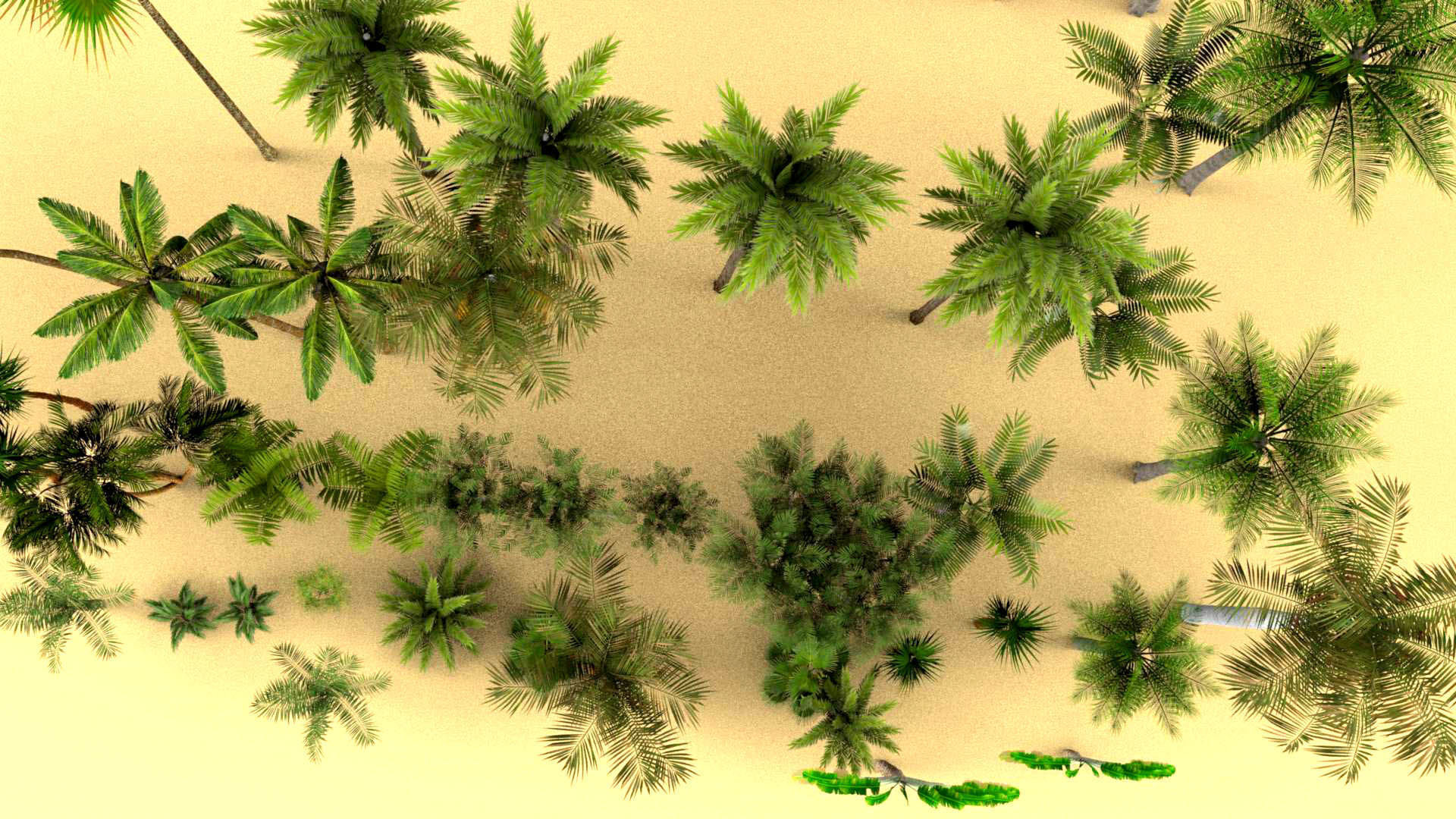 Low Poly Palms Low-poly 3D model_4