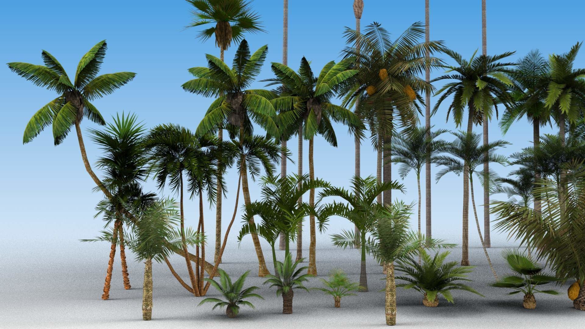 Low Poly Palms Low-poly 3D model_2
