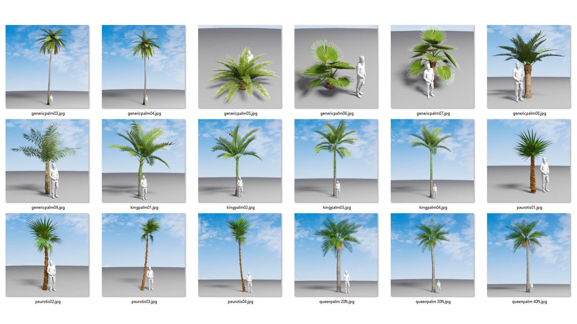 Low Poly Palms Low-poly 3D model_8