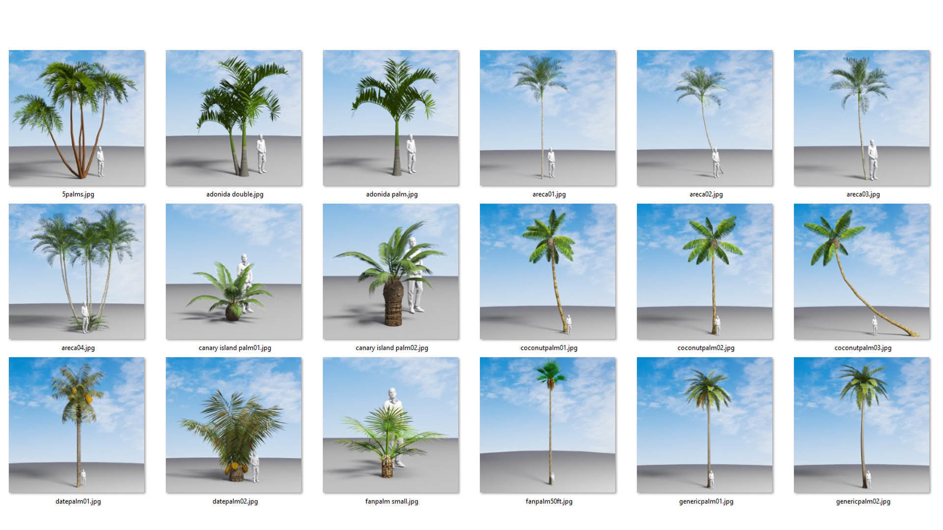 Low Poly Palms Low-poly 3D model_7