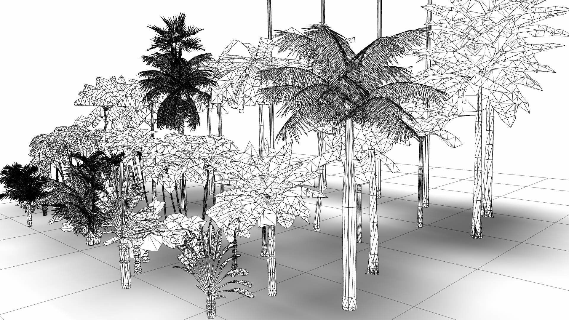 Low Poly Palms Low-poly 3D model_6
