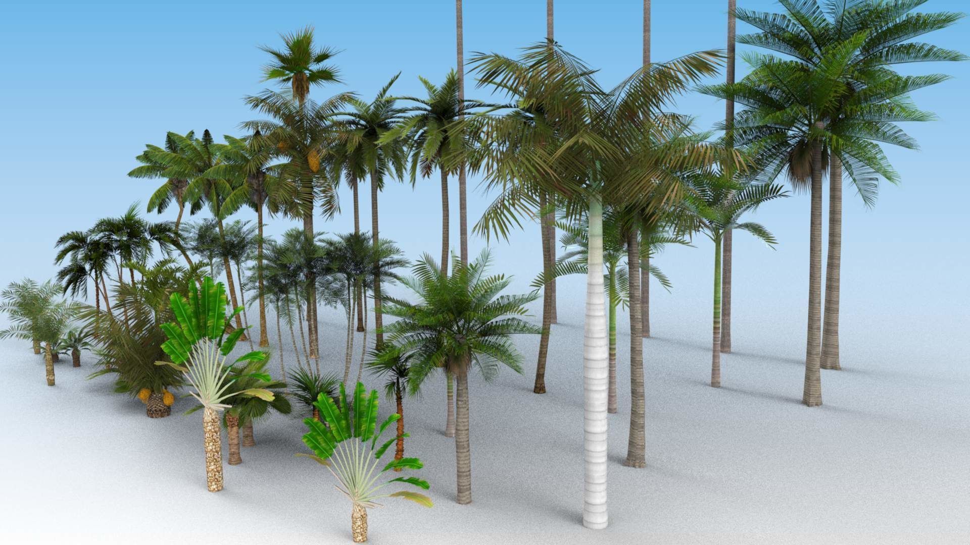 Low Poly Palms Low-poly 3D model_5