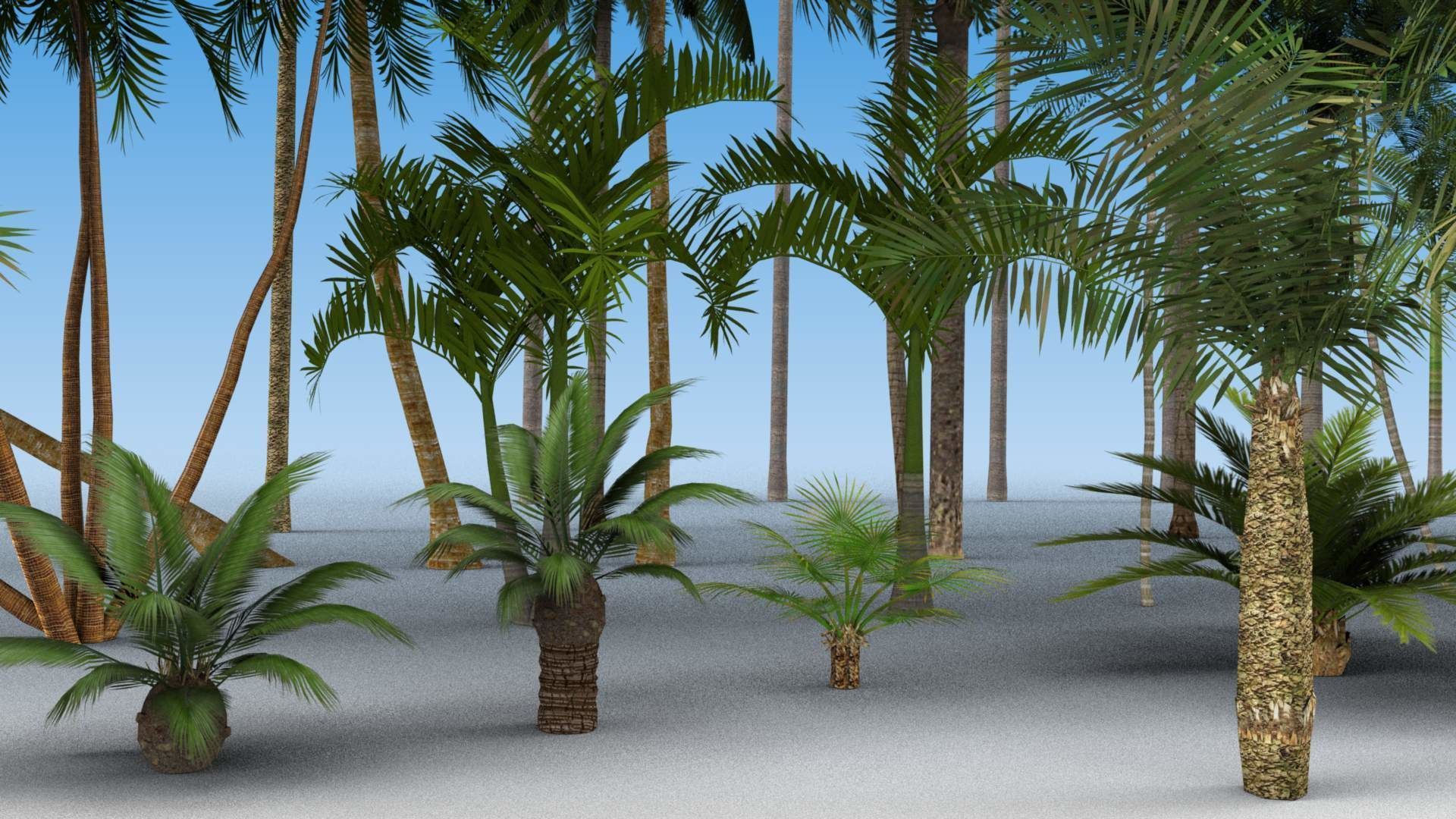 Low Poly Palms Low-poly 3D model_3