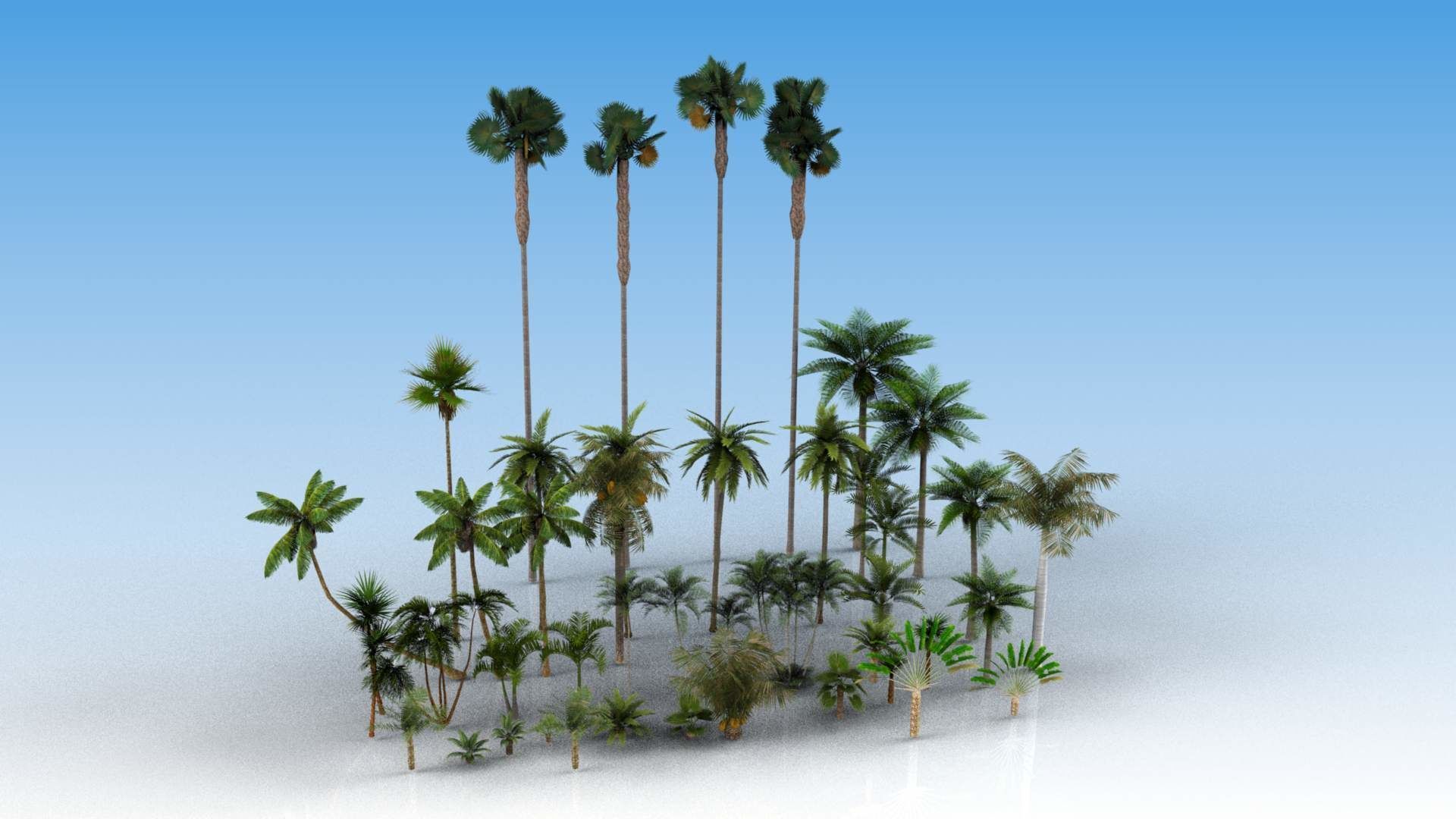 Low Poly Palms Low-poly 3D model_1