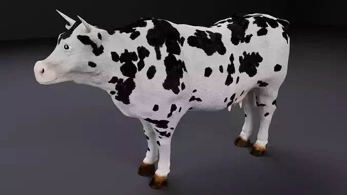 Dairy Cow 