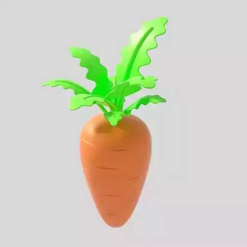 radish models
