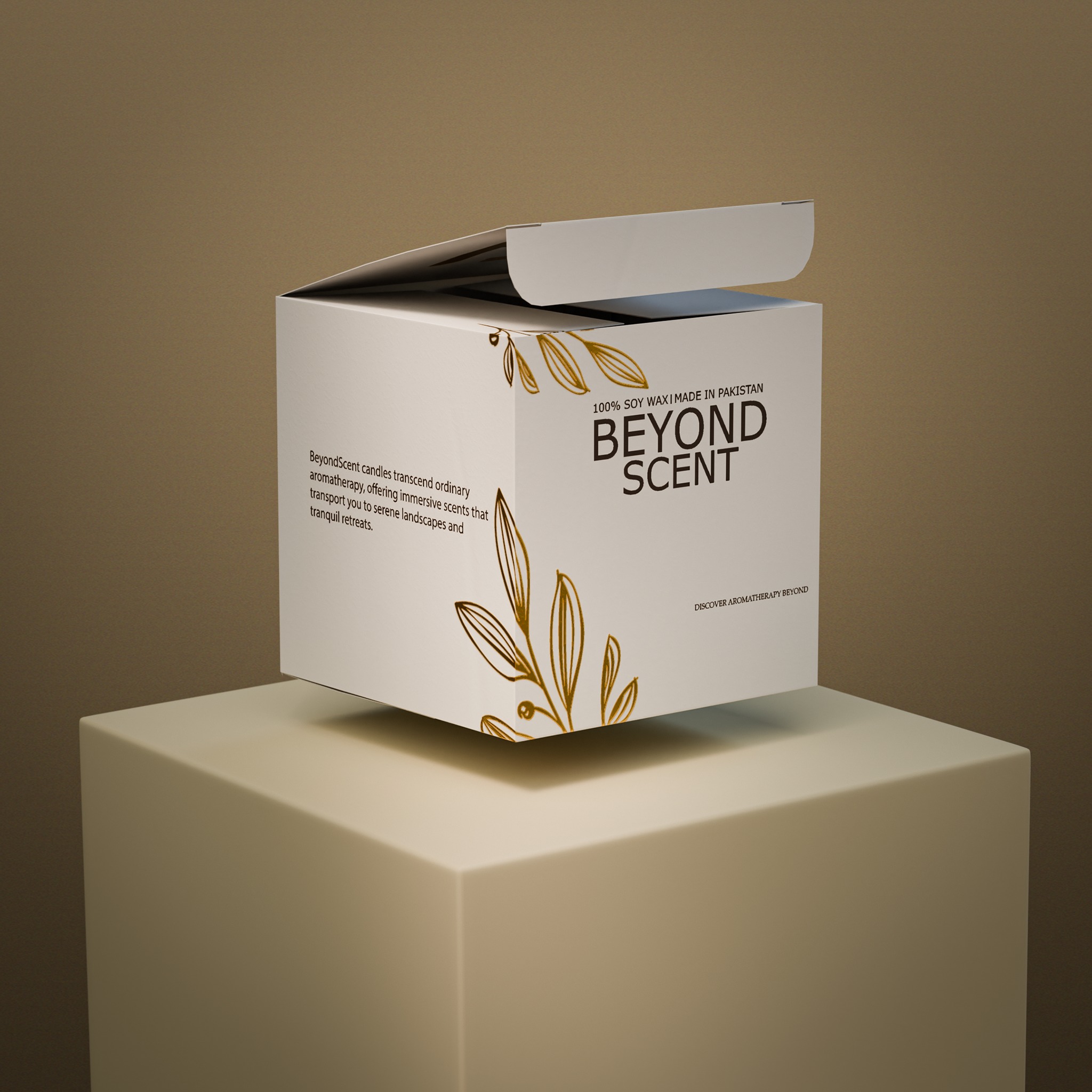 Customizable Jar and Packaging Box 3D Model 3D model_7