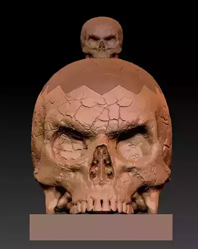 Skull 3D model