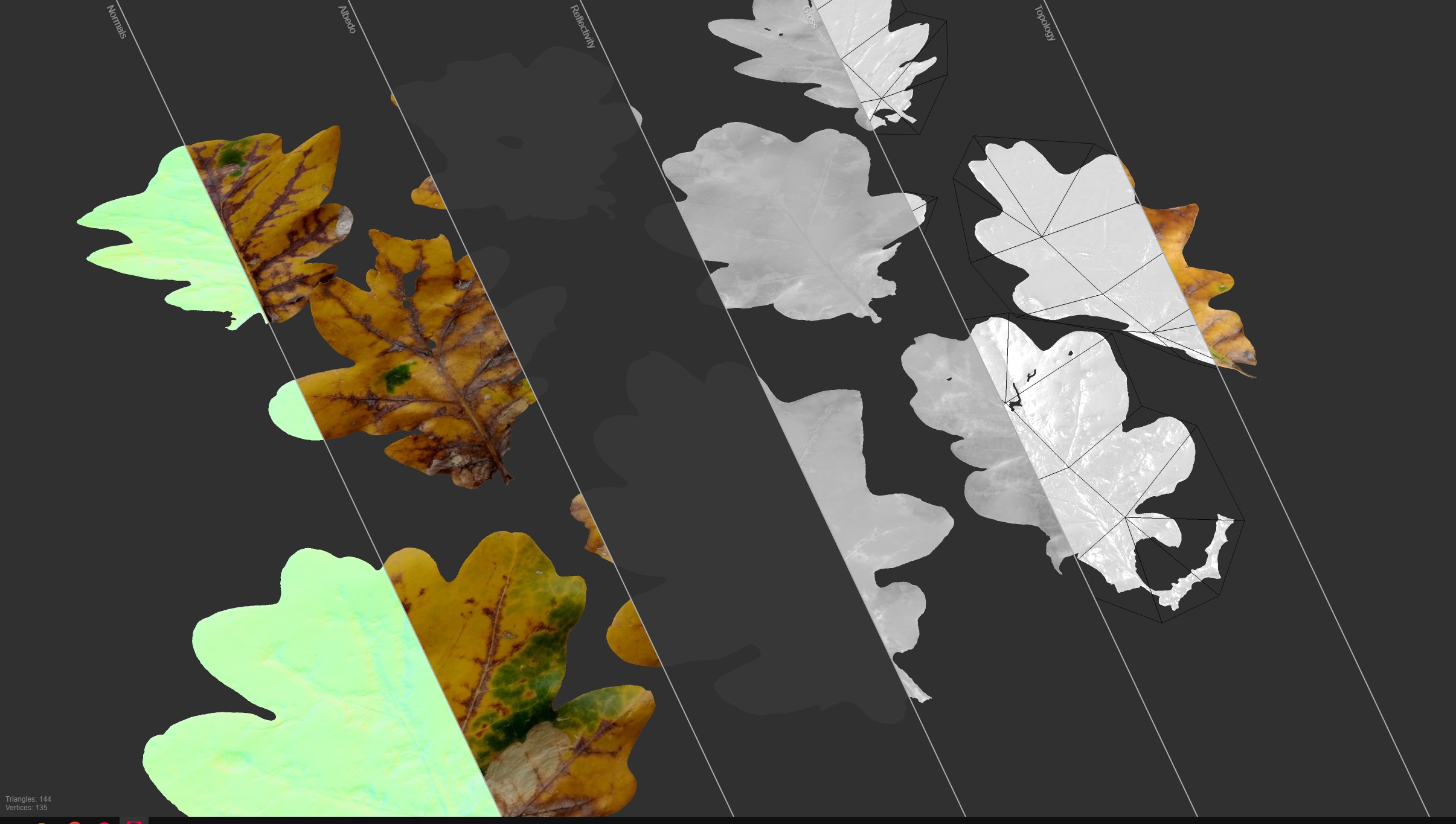  Autumn Oak Leaves Low-poly 3D model_7