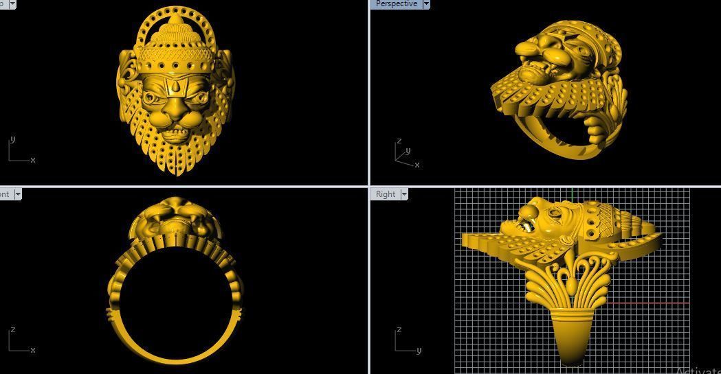 narsimha ring 3dm file 3D print model_2