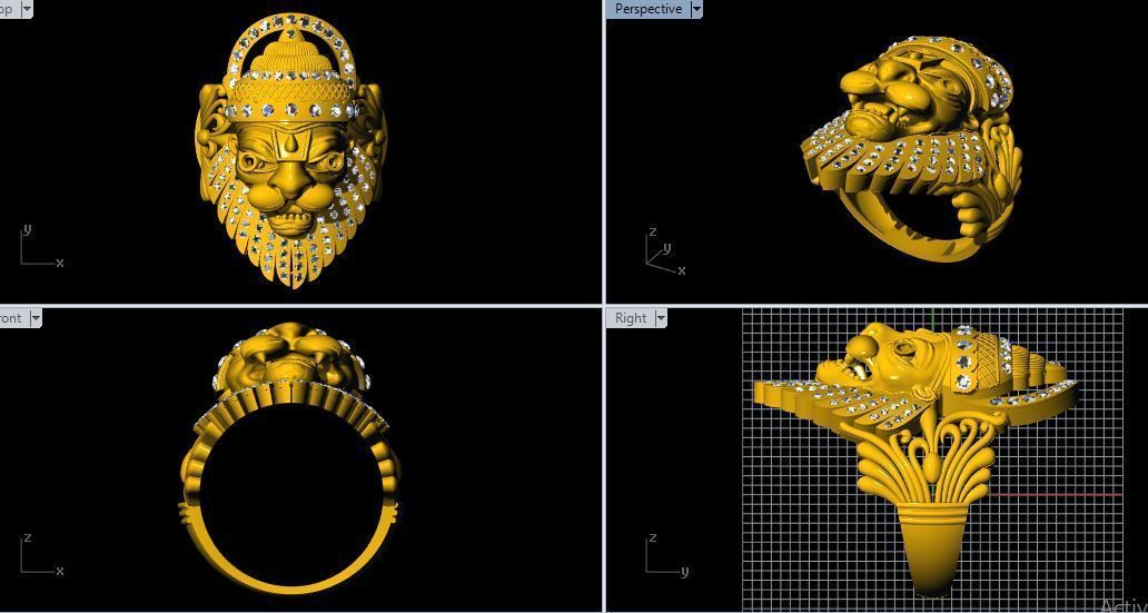 narsimha ring 3dm file 3D print model_1