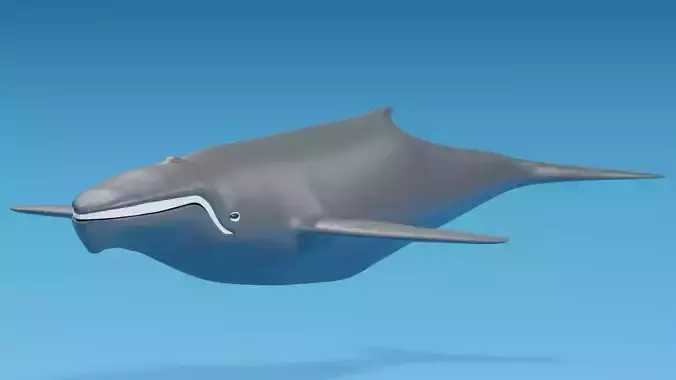 Cartoon Whale