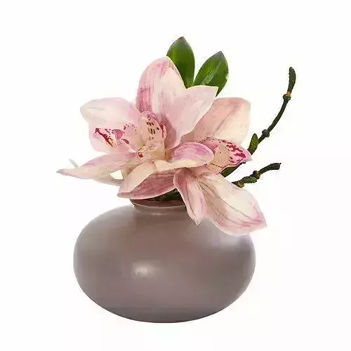 Bull Cymbidium Orchid Floral Arrangement in Vase