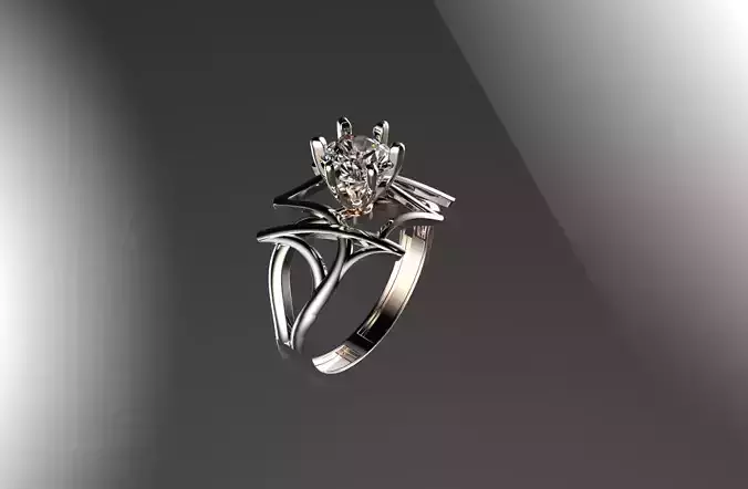 jewelry ring 65