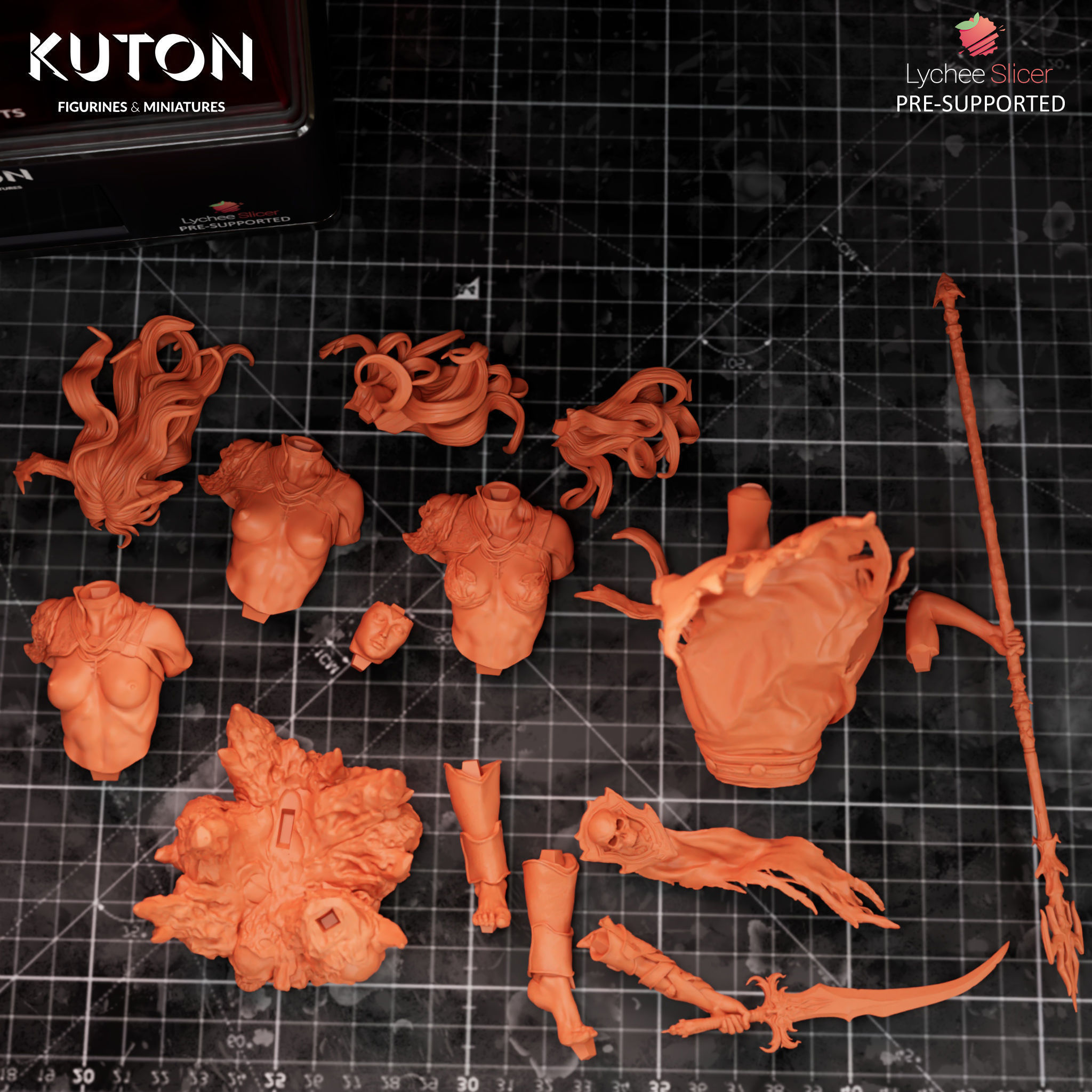 Vexoria 3D print model_9