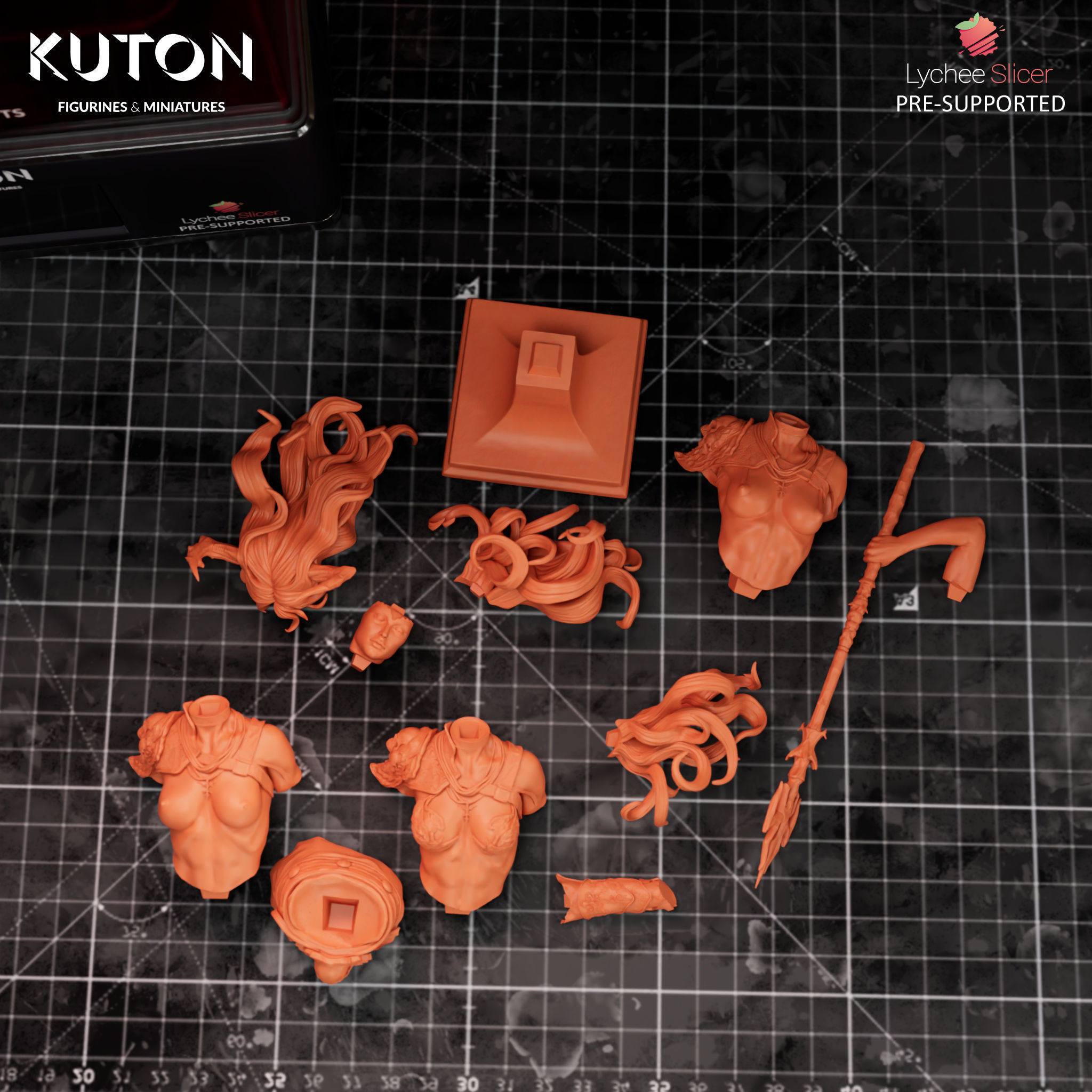 Vexoria 3D print model_8