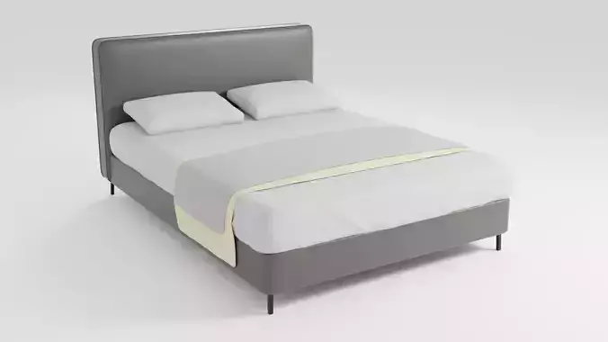 Bed with leather frame