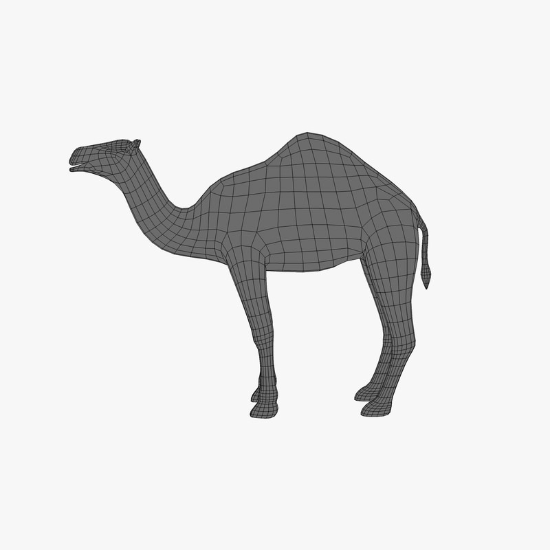 Camel Low-poly 3D model_3