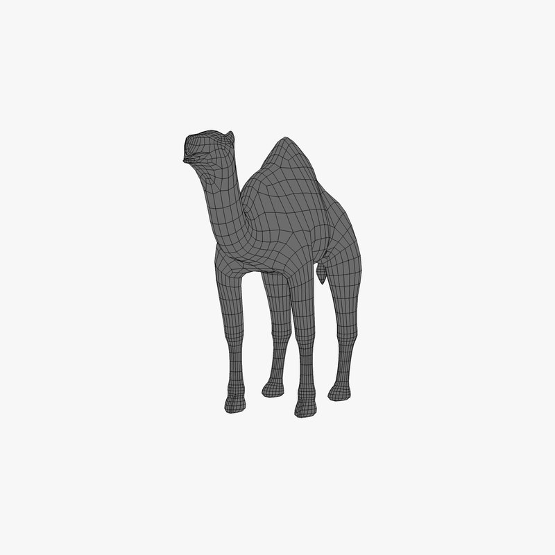 Camel Low-poly 3D model_6