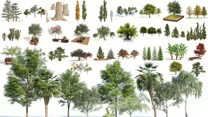 Medium Poly Tree Pack 3D Model Collection