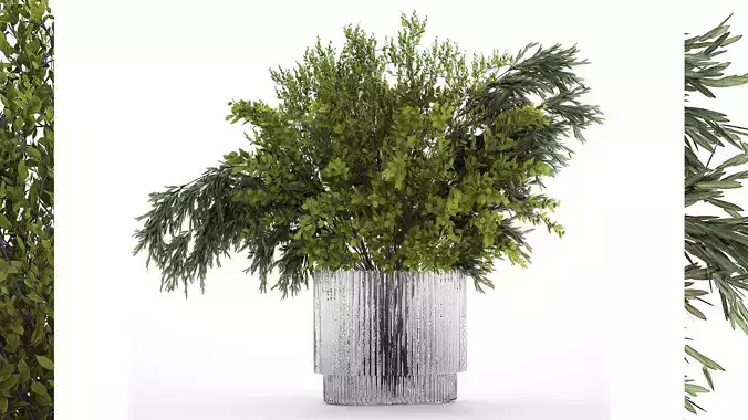 Bouquet Of Branches With Green Leaves In A Vase 441