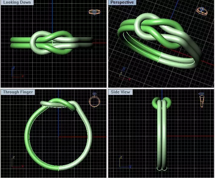plane knot ring 3D print model