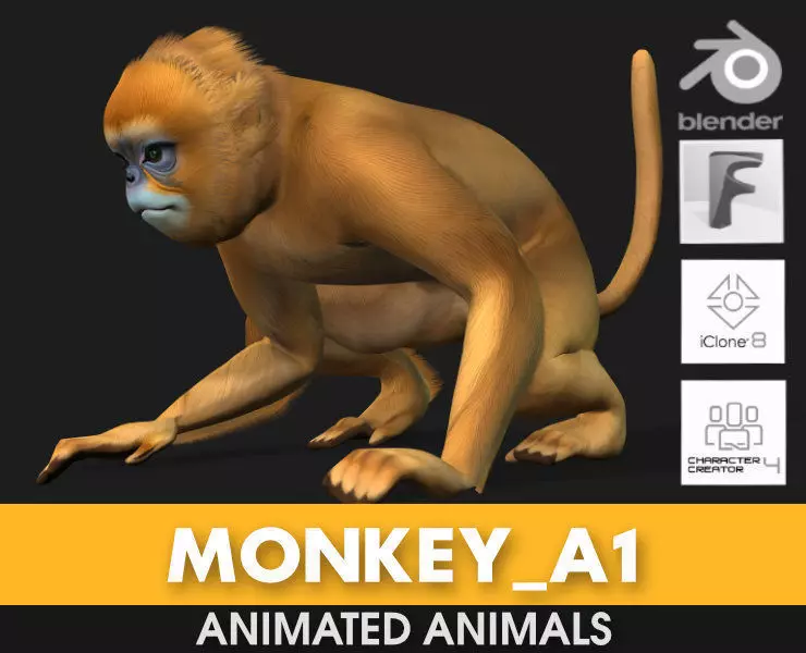 Monkey-A1 3D model