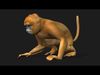 Monkey-A2 3D model_1