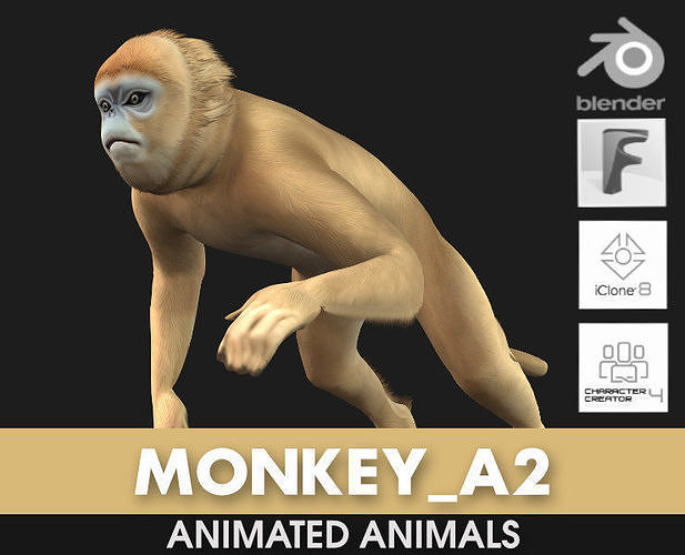 Monkey-A2 3D model