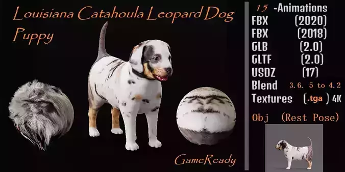 Louisiana Catahoula Leopard Puppy Dog Low-poly 3D model