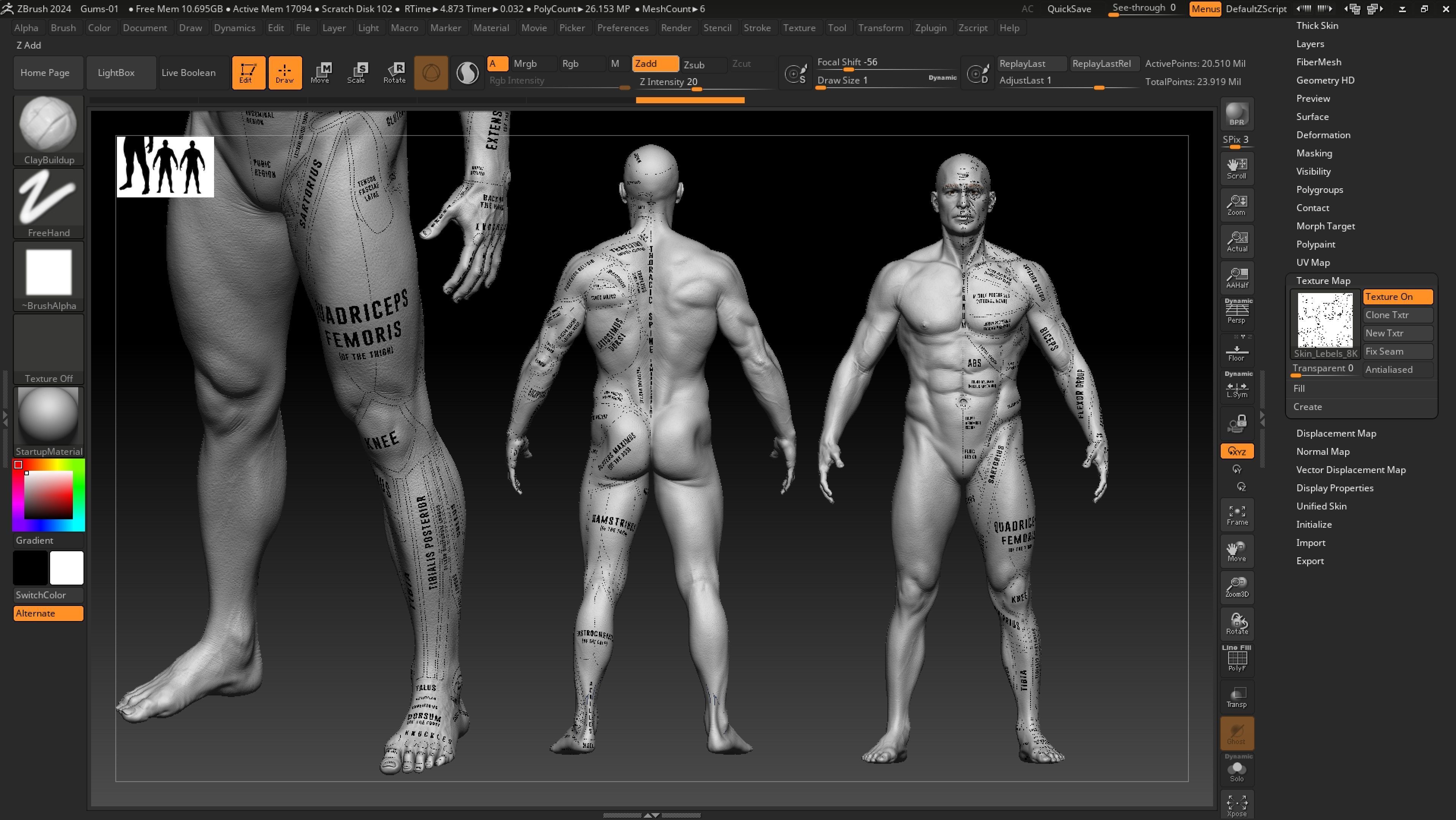 ECORCHE  Realistic Male Full Body Anatomy Model With BASE MESH 3D model_16