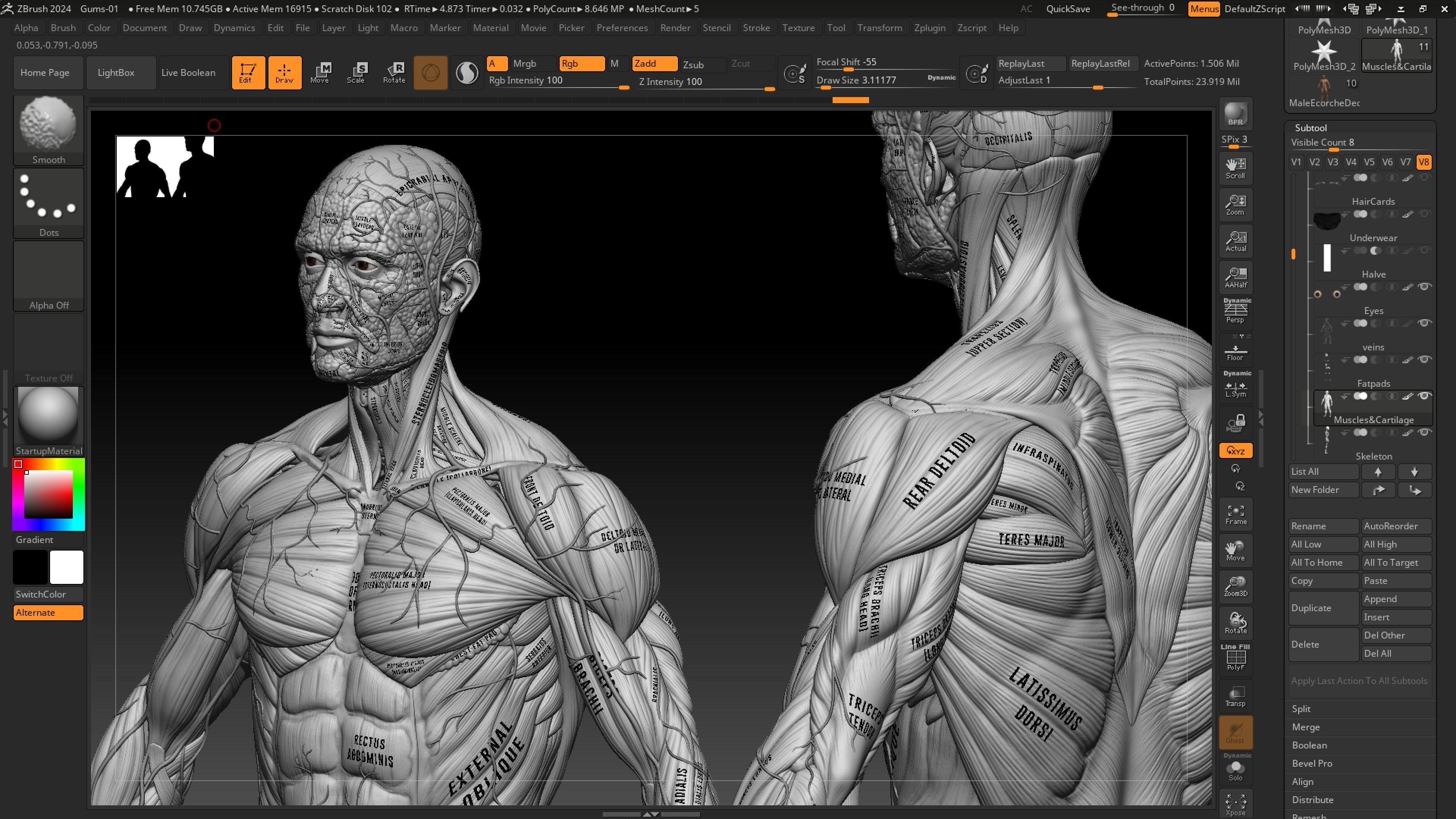 ECORCHE  Realistic Male Full Body Anatomy Model With BASE MESH 3D model_17