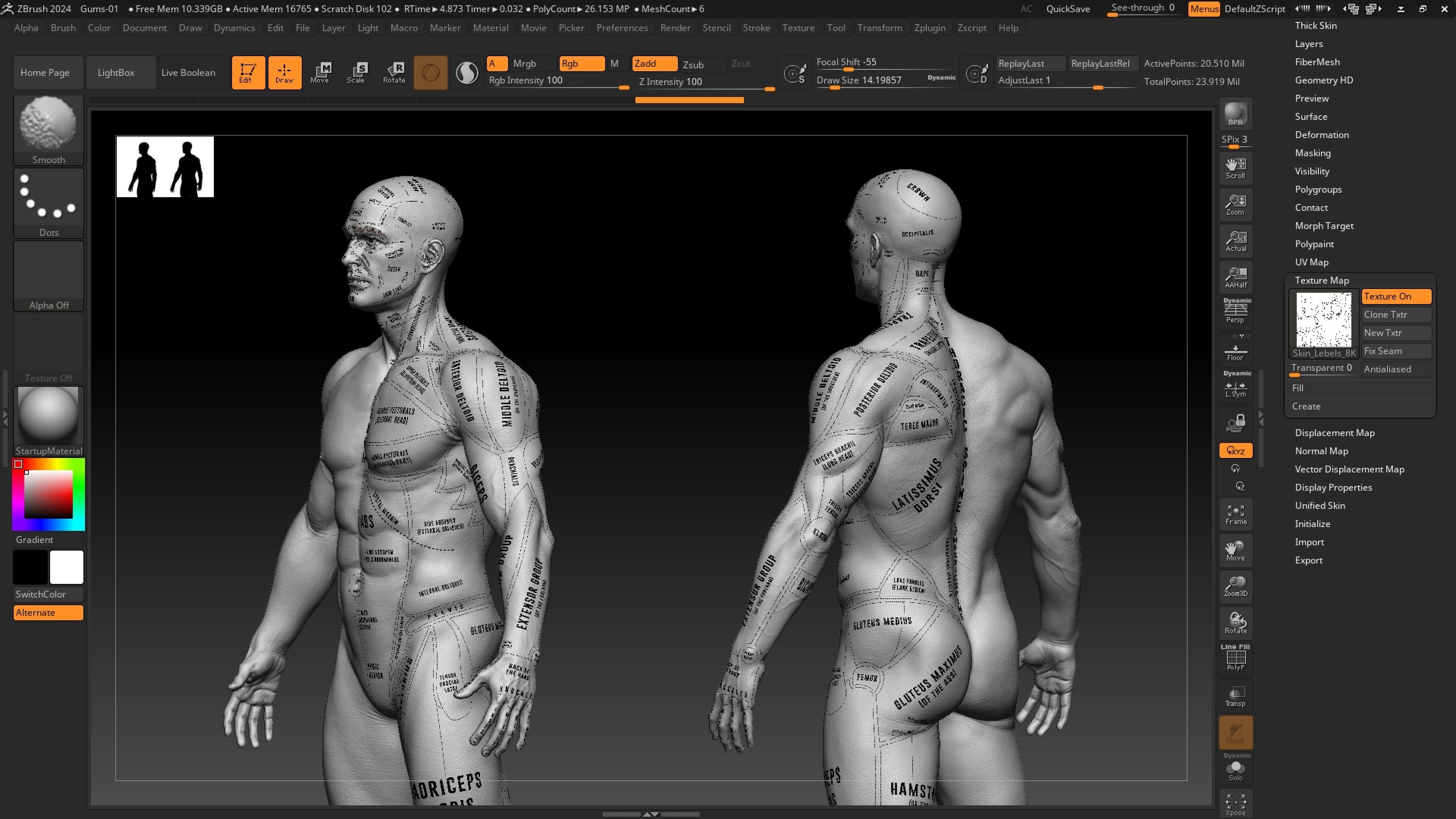 ECORCHE  Realistic Male Full Body Anatomy Model With BASE MESH 3D model_15