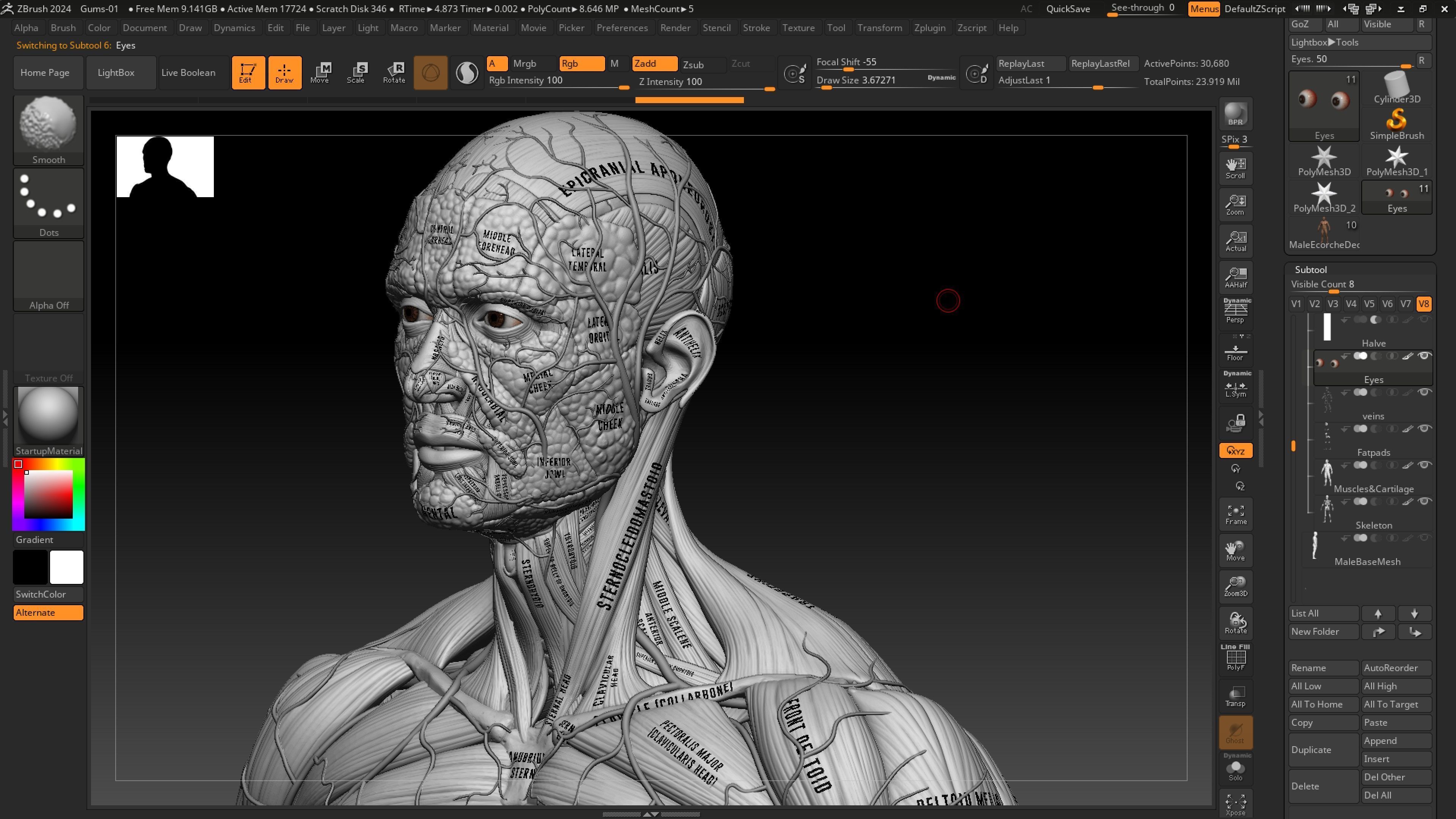 ECORCHE  Realistic Male Full Body Anatomy Model With BASE MESH 3D model_19