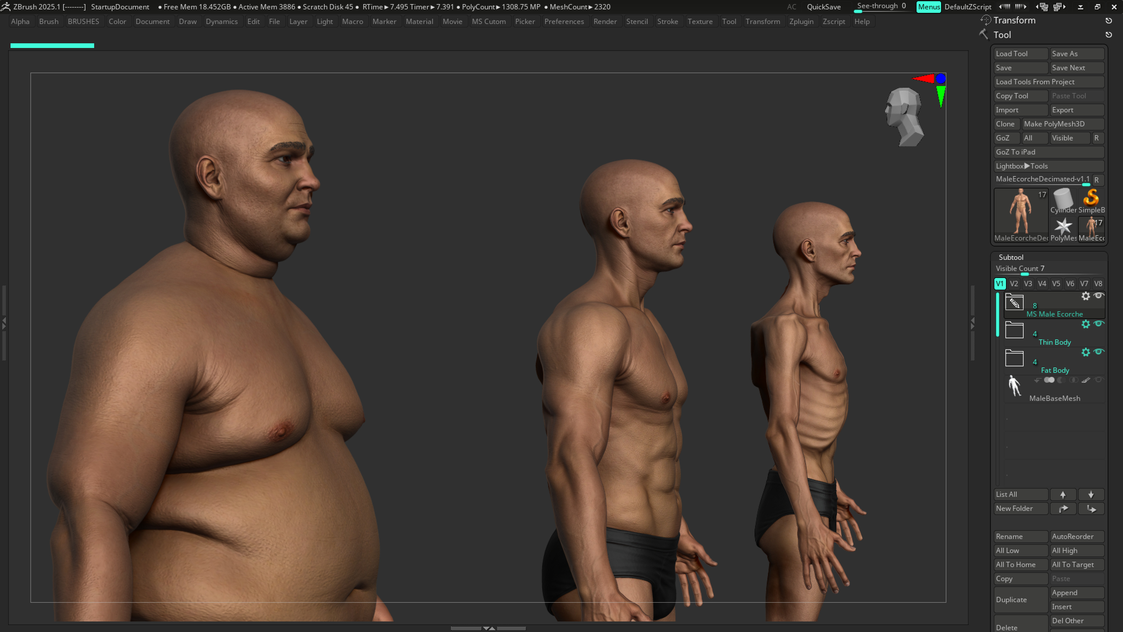 ECORCHE  Realistic Male Full Body Anatomy Model With BASE MESH 3D model_27