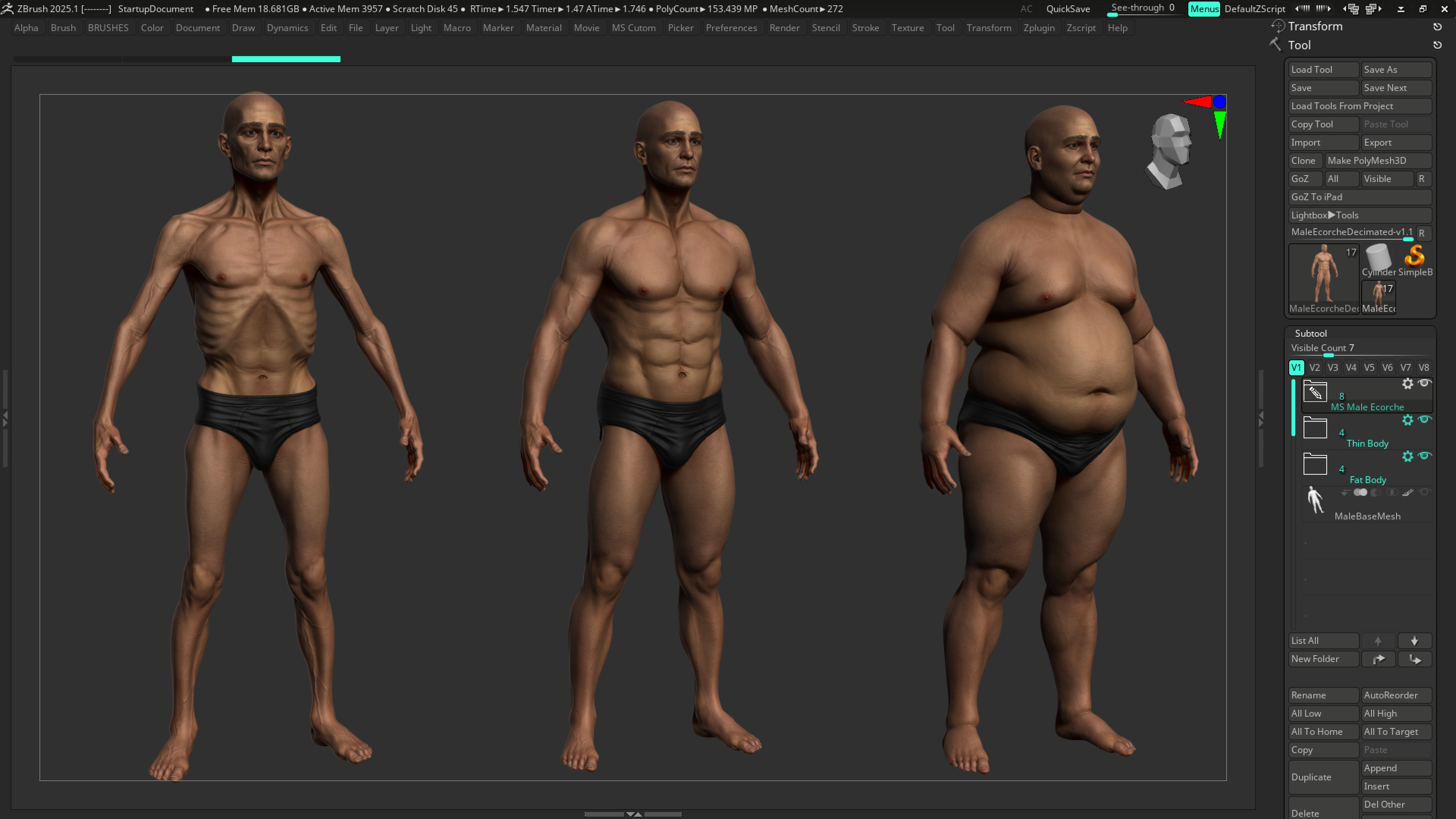 ECORCHE  Realistic Male Full Body Anatomy Model With BASE MESH 3D model_29