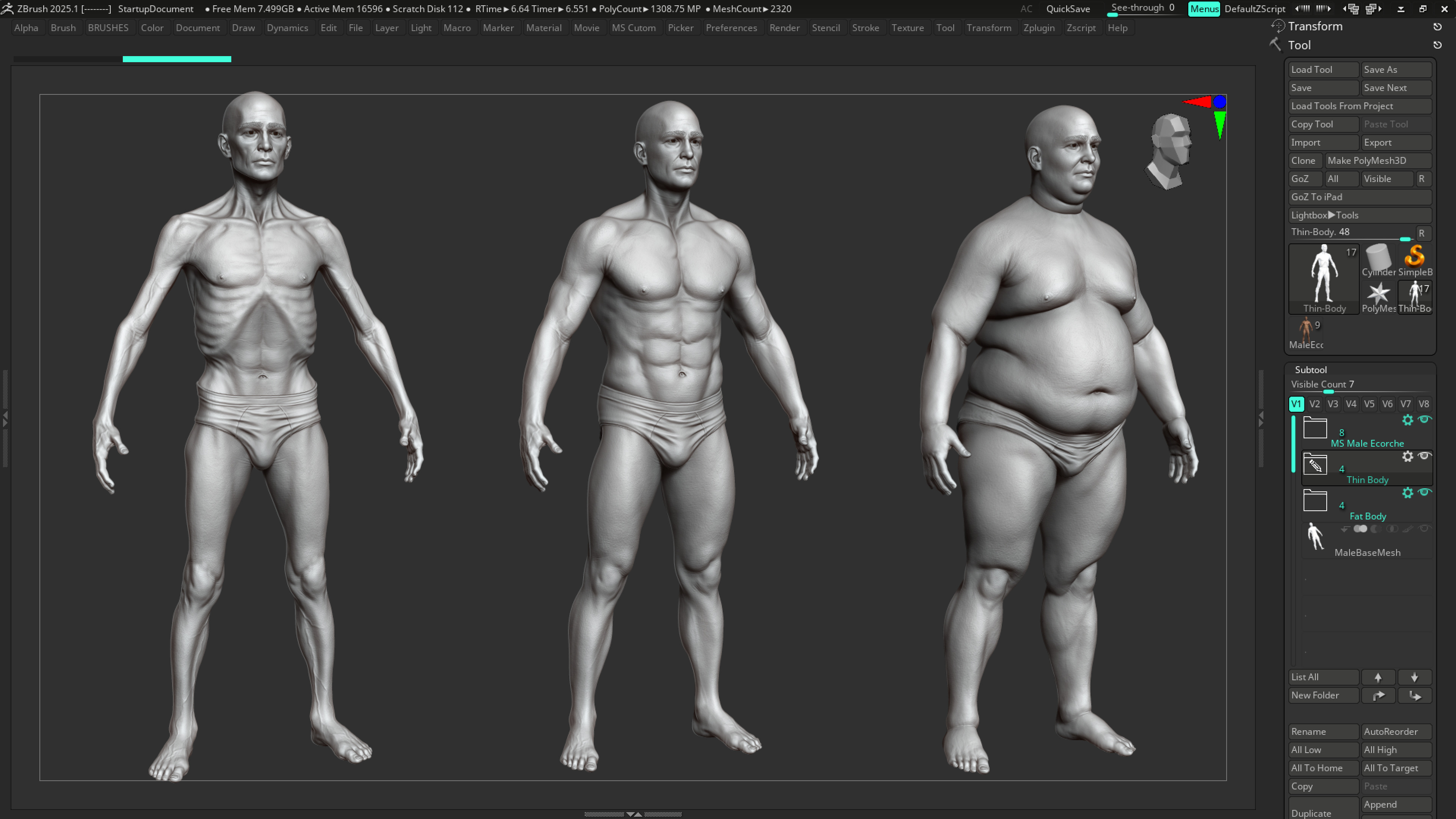 ECORCHE  Realistic Male Full Body Anatomy Model With BASE MESH 3D model_33