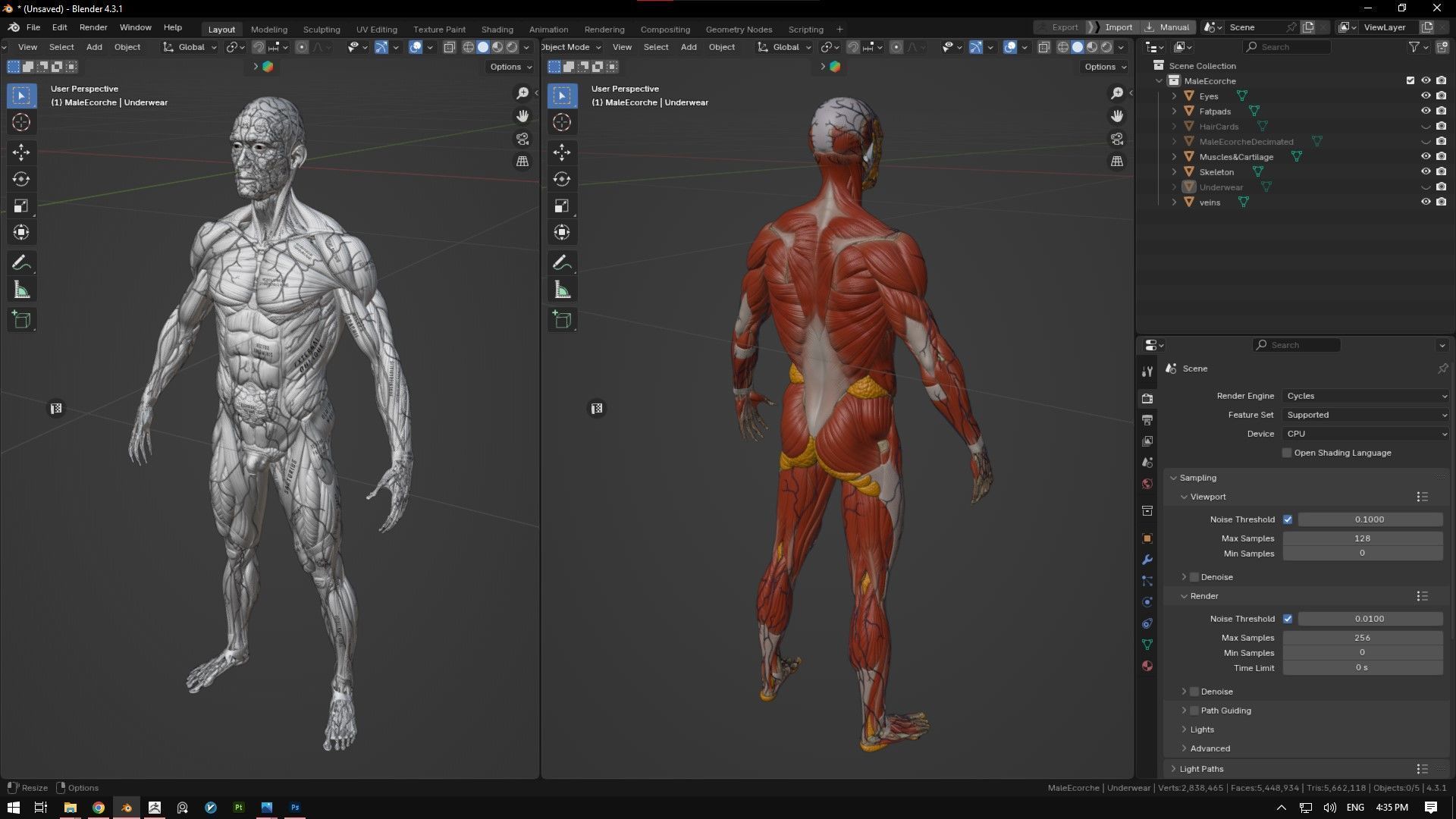 ECORCHE  Realistic Male Full Body Anatomy Model With BASE MESH 3D model_25