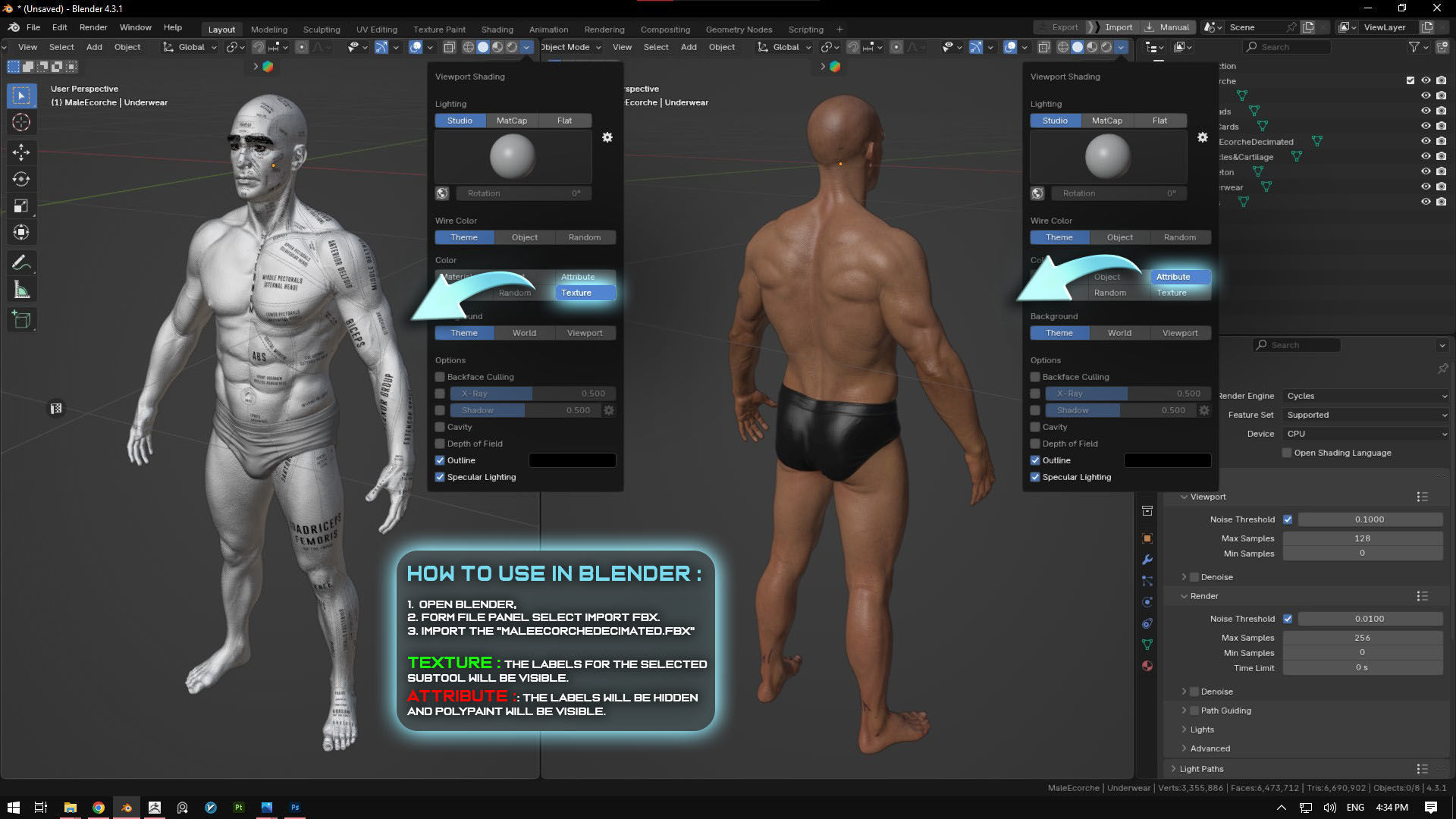 ECORCHE  Realistic Male Full Body Anatomy Model With BASE MESH 3D model_24