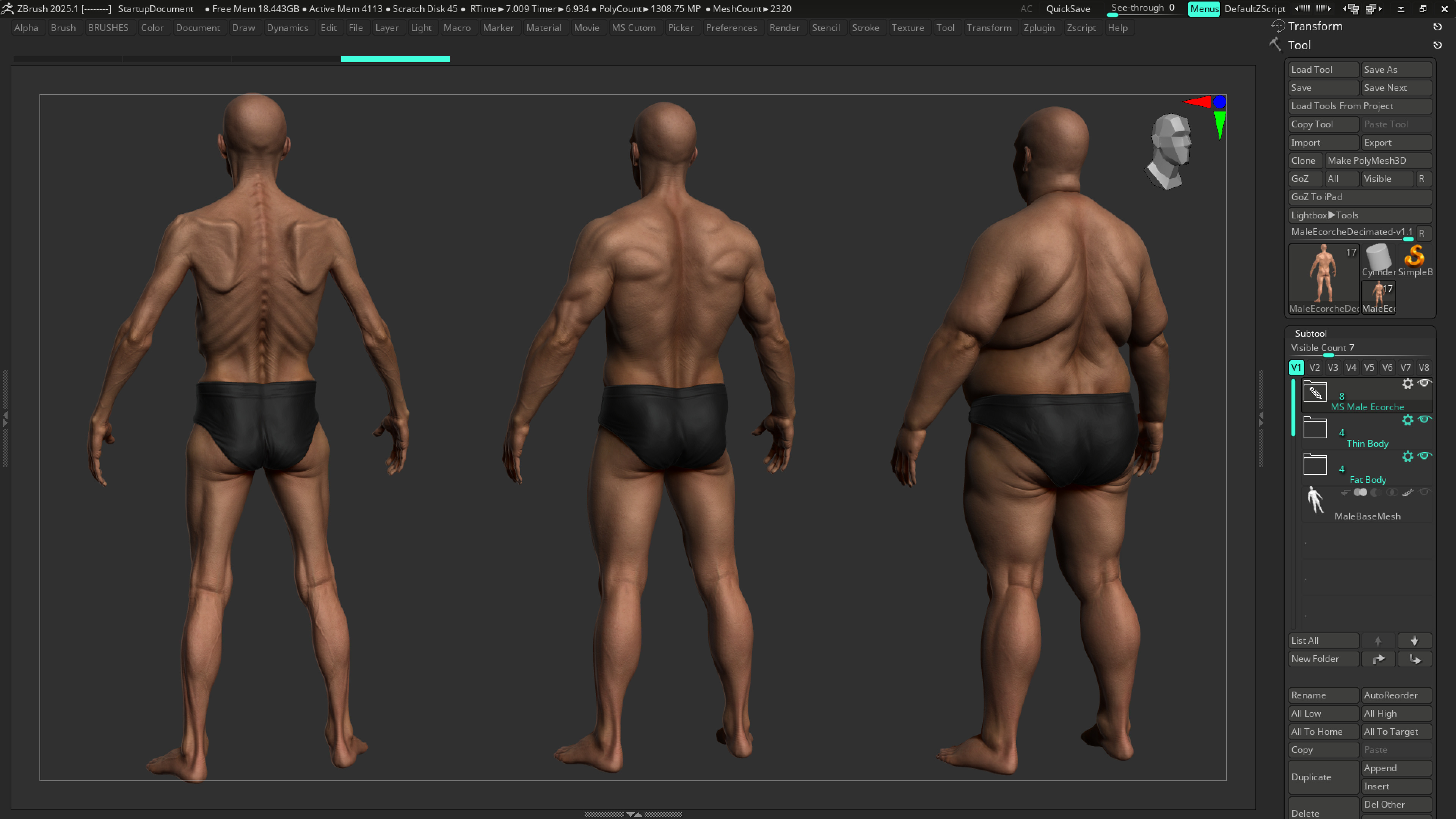 ECORCHE  Realistic Male Full Body Anatomy Model With BASE MESH 3D model_32