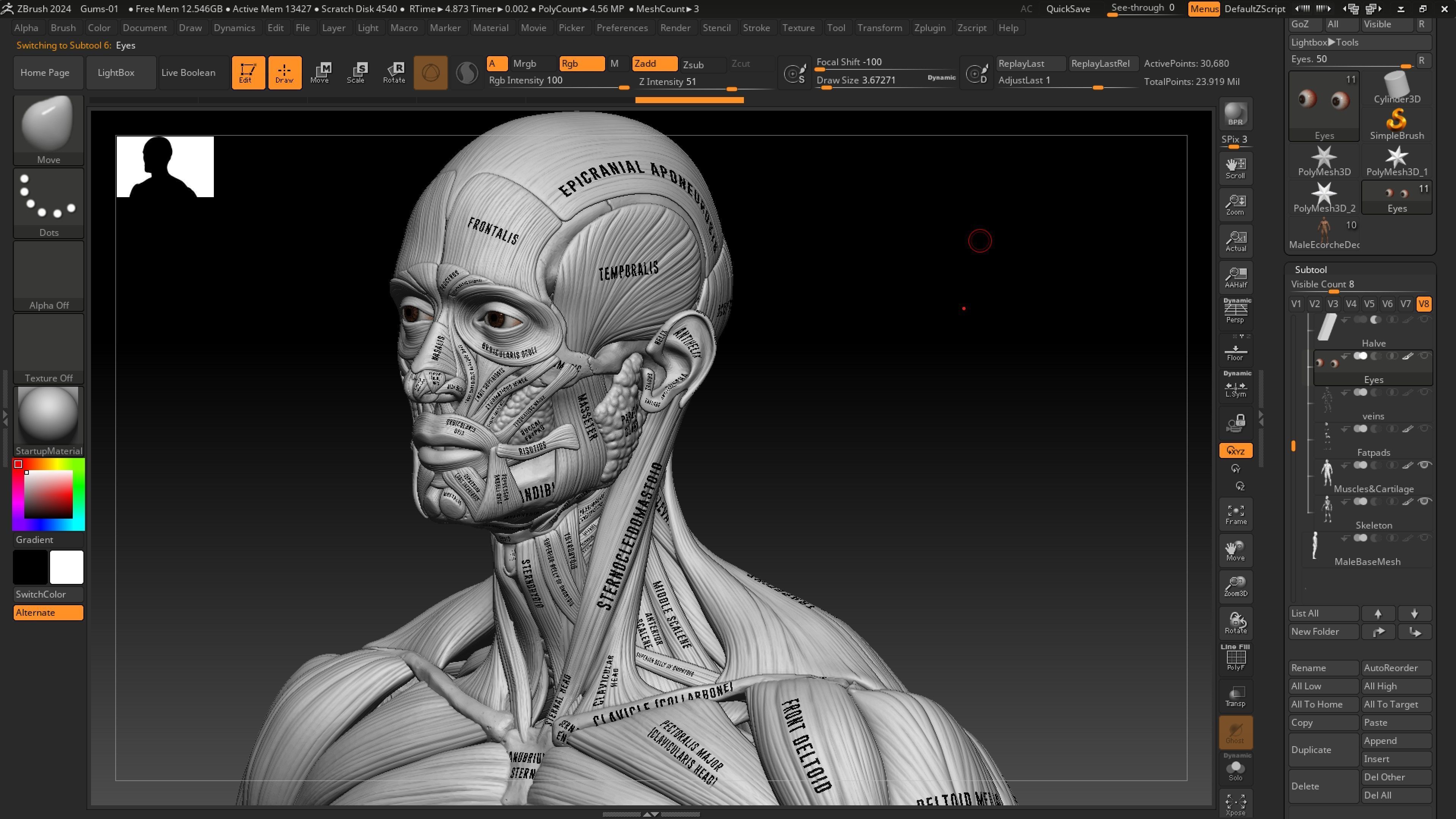 ECORCHE  Realistic Male Full Body Anatomy Model With BASE MESH 3D model_20
