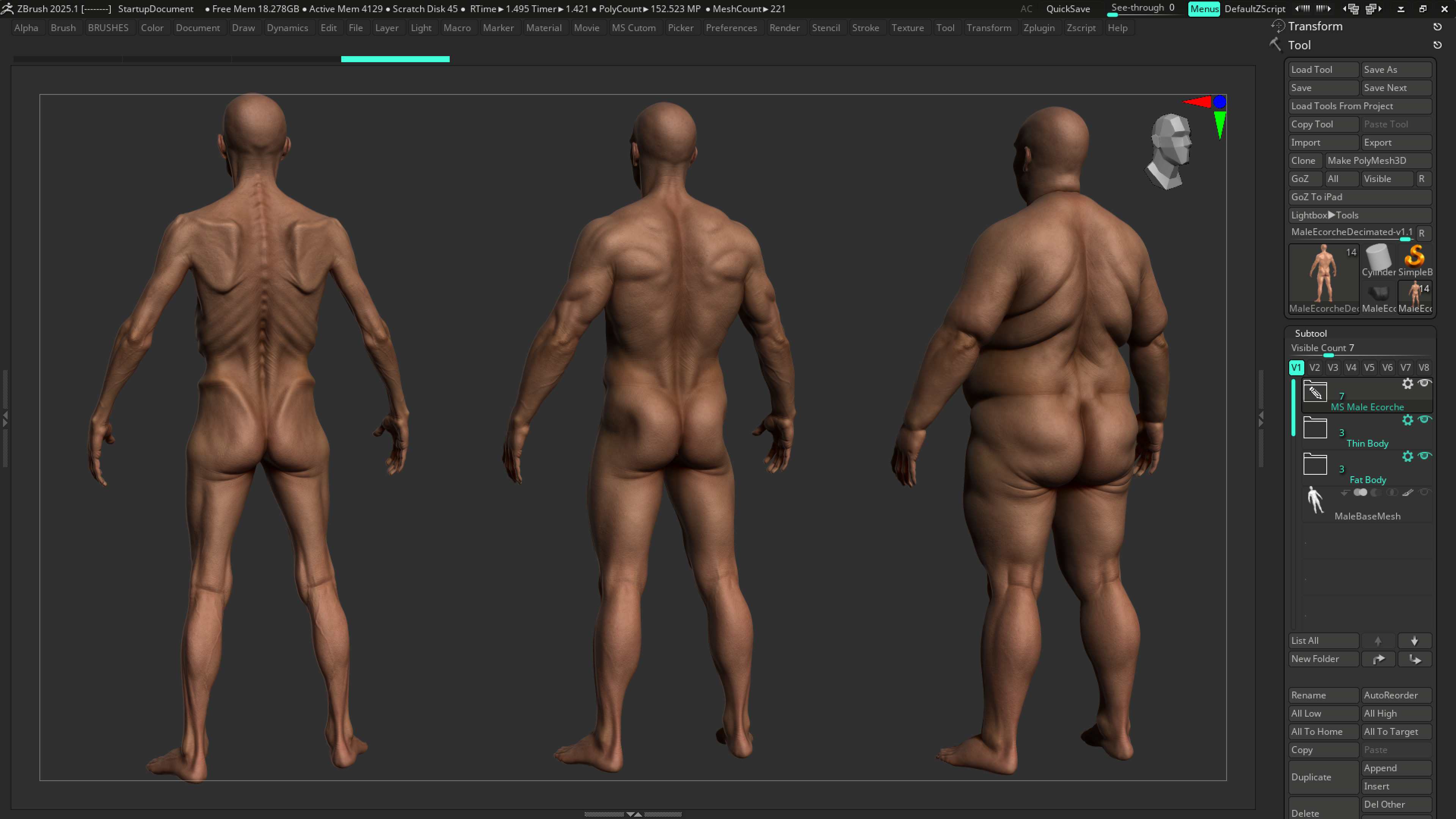 ECORCHE  Realistic Male Full Body Anatomy Model With BASE MESH 3D model_30