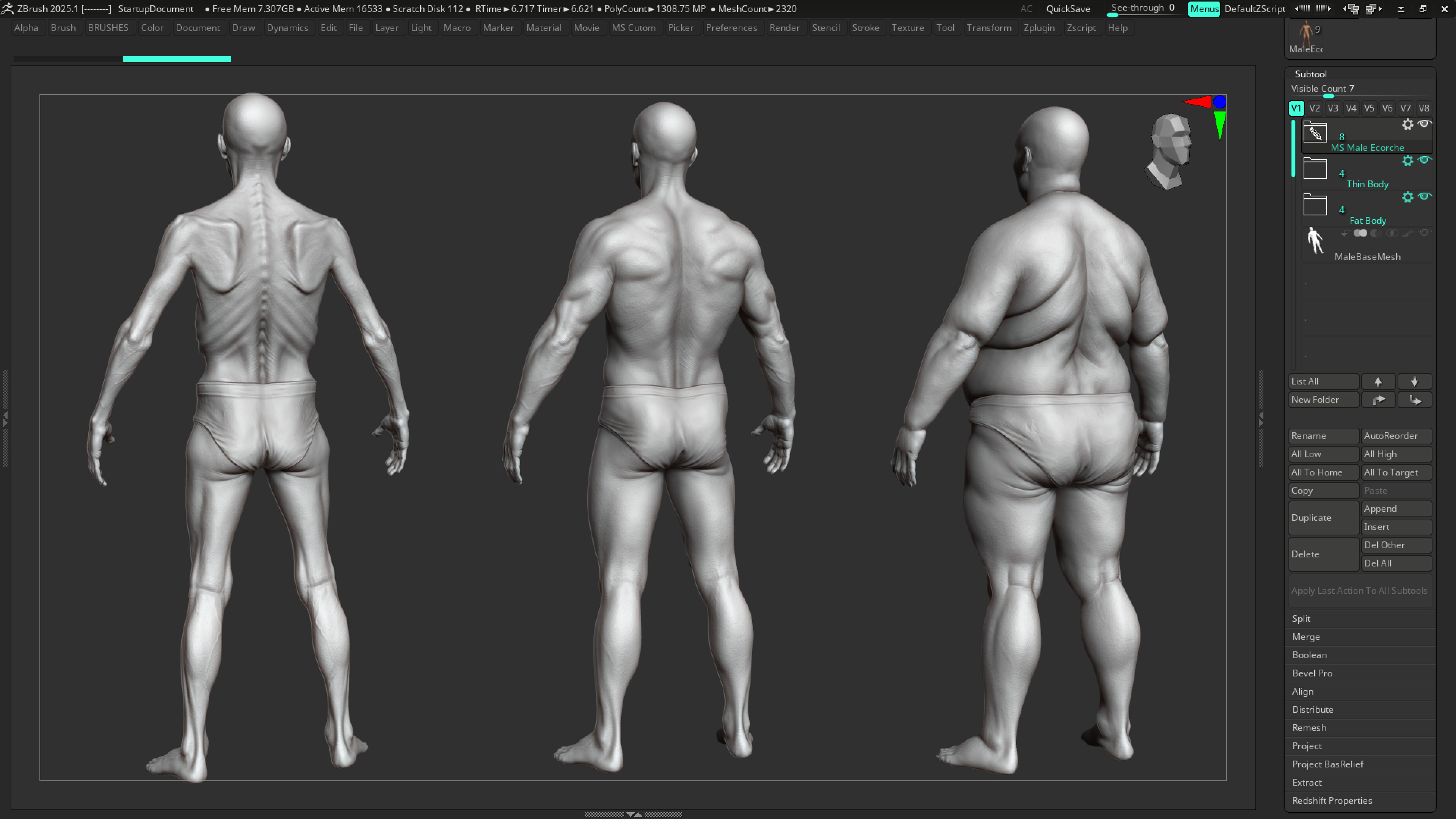 ECORCHE  Realistic Male Full Body Anatomy Model With BASE MESH 3D model_31