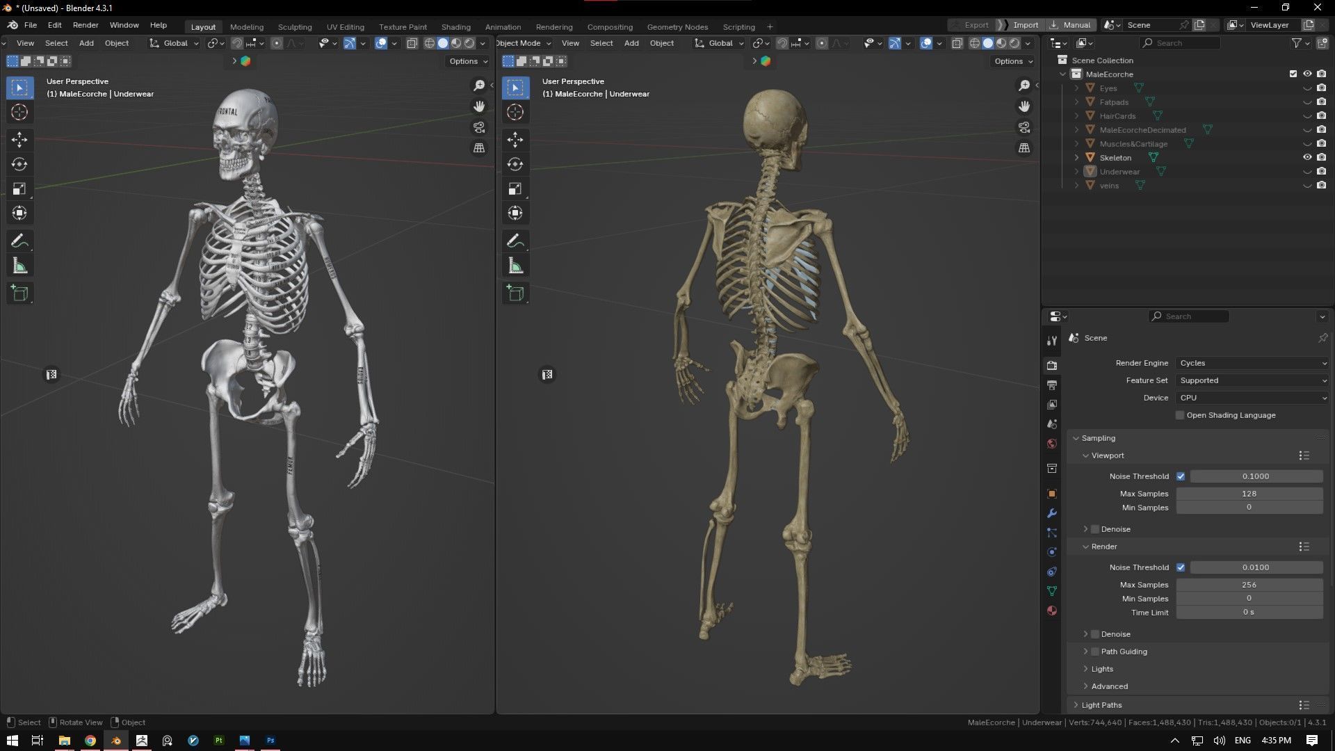ECORCHE  Realistic Male Full Body Anatomy Model With BASE MESH 3D model_26