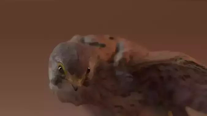 Photorealistic Common Male Kestrel